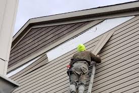 Best Historical Building Siding Restoration  in Albany, TX